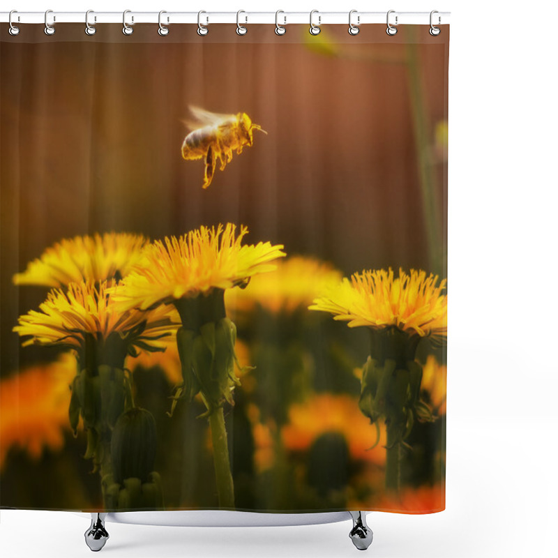 Personality  Flying Bee Shower Curtains