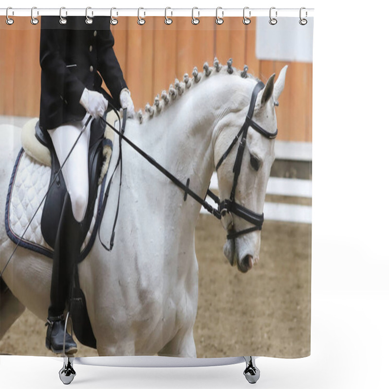 Personality   Portrait Of A Sport Horse During Dressage Competition Under Saddle Shower Curtains