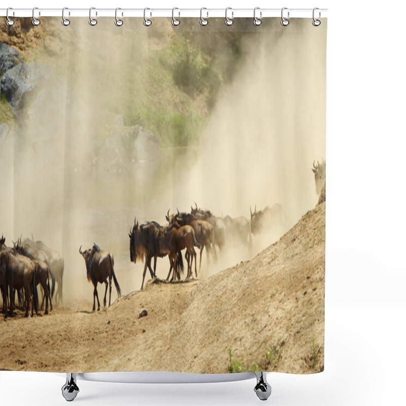 Personality  Herd Of Blue Wildebeest (Connochaetes Taurinus) Shower Curtains