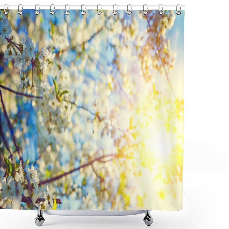 Personality  Blossoming Cherry Tree Shower Curtains