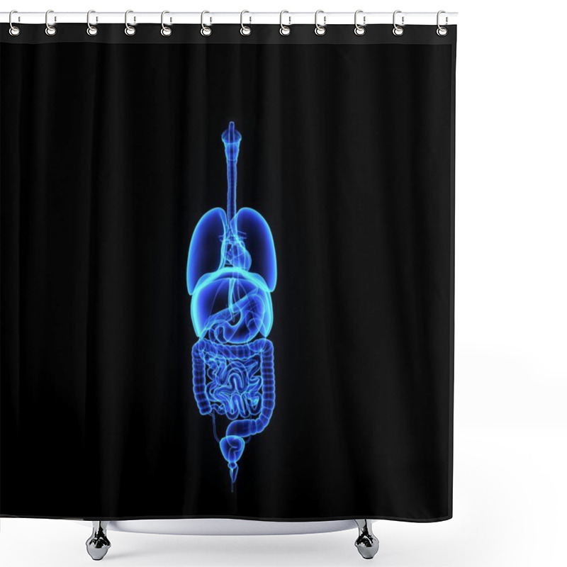 Personality  Organ Shower Curtains