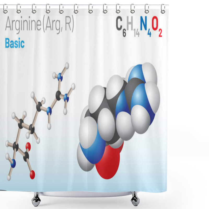 Personality  Arginine (Arg, R) Amino Acid Molecule. (Chemical Formula C6H14N4O2) It Is Used In The Biosynthesis Of Proteins. Ball-and-stick Model, Space-filling Model And Skeletal Formula. Layered Vector Illustration Shower Curtains