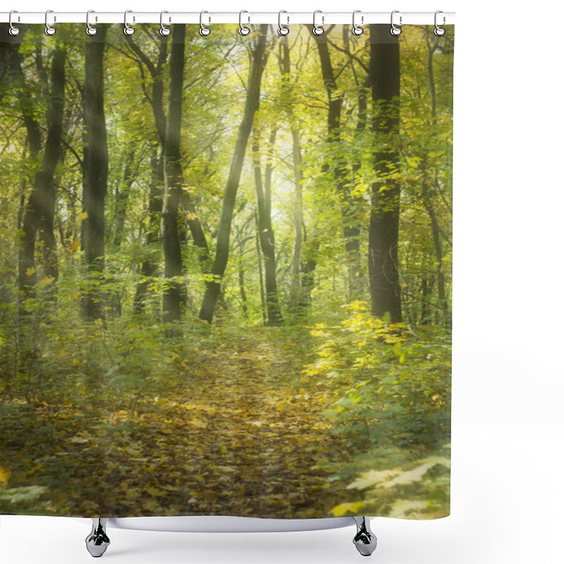 Personality  Lovely Gentle, Autumn Shower Curtains