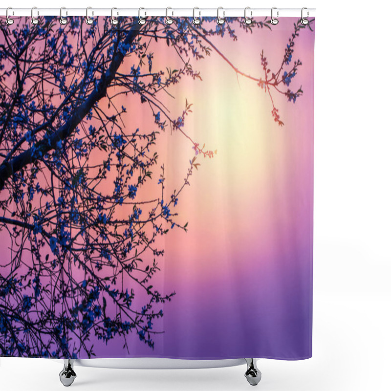 Personality  Cherry Blossom Over Purple Sunset Shower Curtains