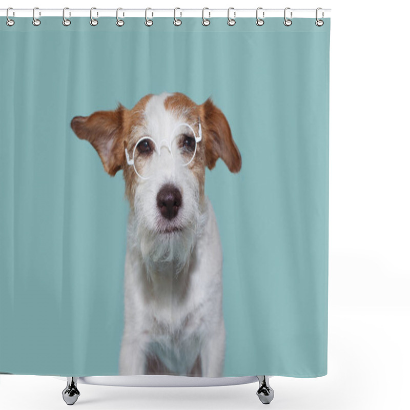 Personality  FUNNY INTELLECTUAL JACK RUSSELL DOG WEARING WHITE  EYE GLASSES. ISOLATED AGAINST BLUE COLORED BACKGROUND. STUDIO SHOT. Shower Curtains