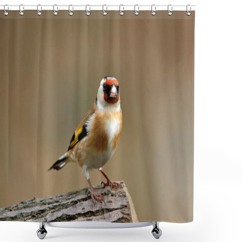 Personality  Goldfinch In The Woods Shower Curtains