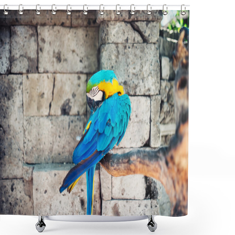 Personality  Macaw Parrots In The Wild With Tropical Jungle Stones In Background. Ara Ararauna Parrot In The Wild Shower Curtains