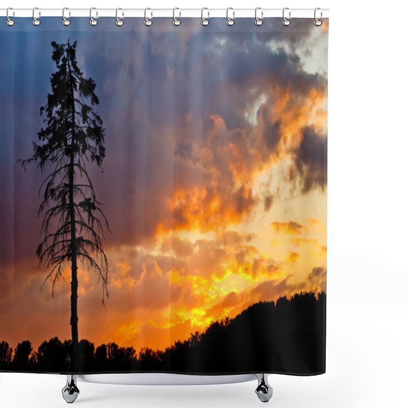 Personality  Pine Tree At Sunset Shower Curtains