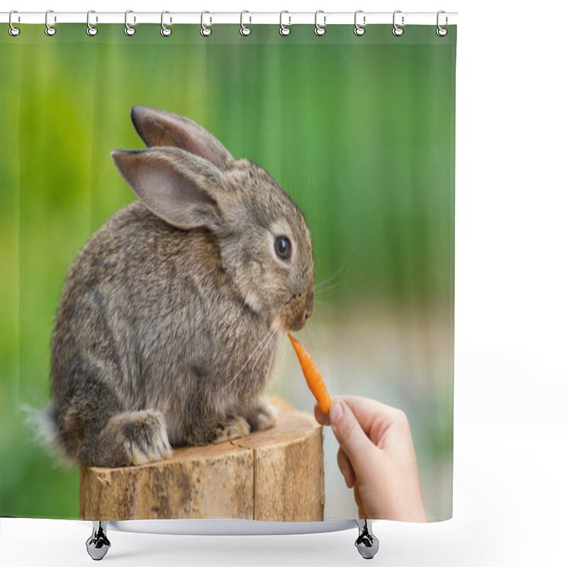 Personality  Cute Baby Rabbit. Feeding Animal Shower Curtains