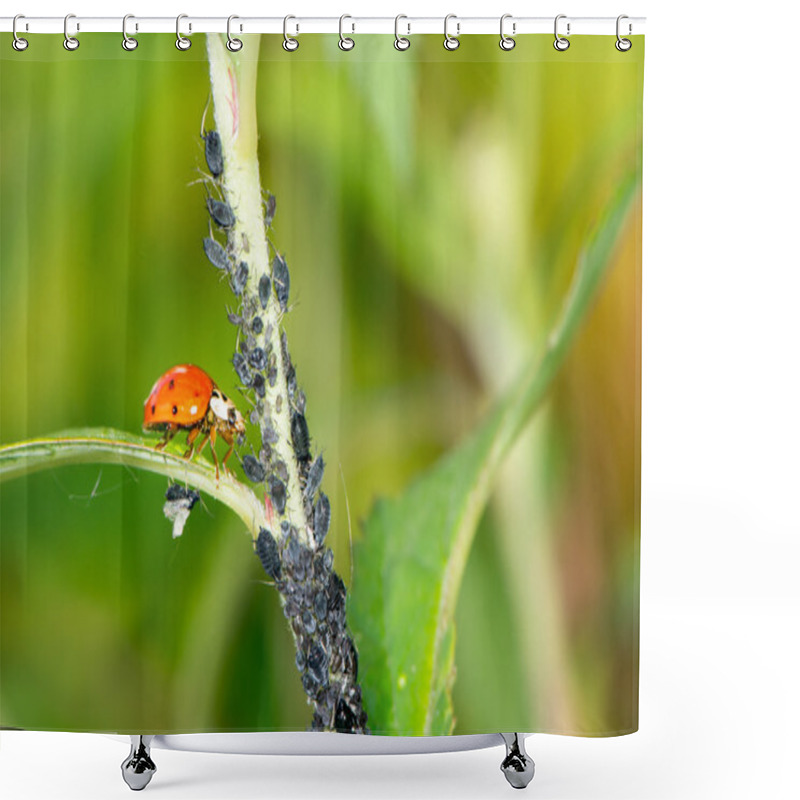 Personality  Biological Pest Control Shower Curtains