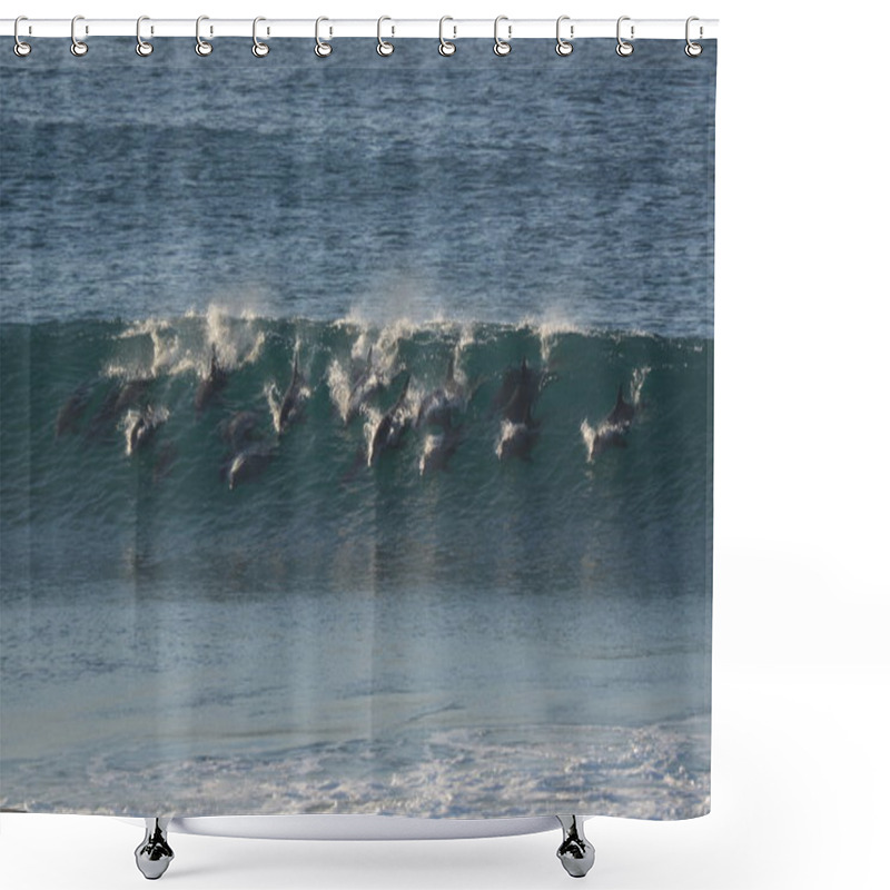 Personality  Dolphins Surfing Wave Shower Curtains