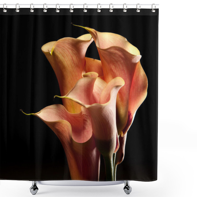 Personality  Flowers On Black Shower Curtains