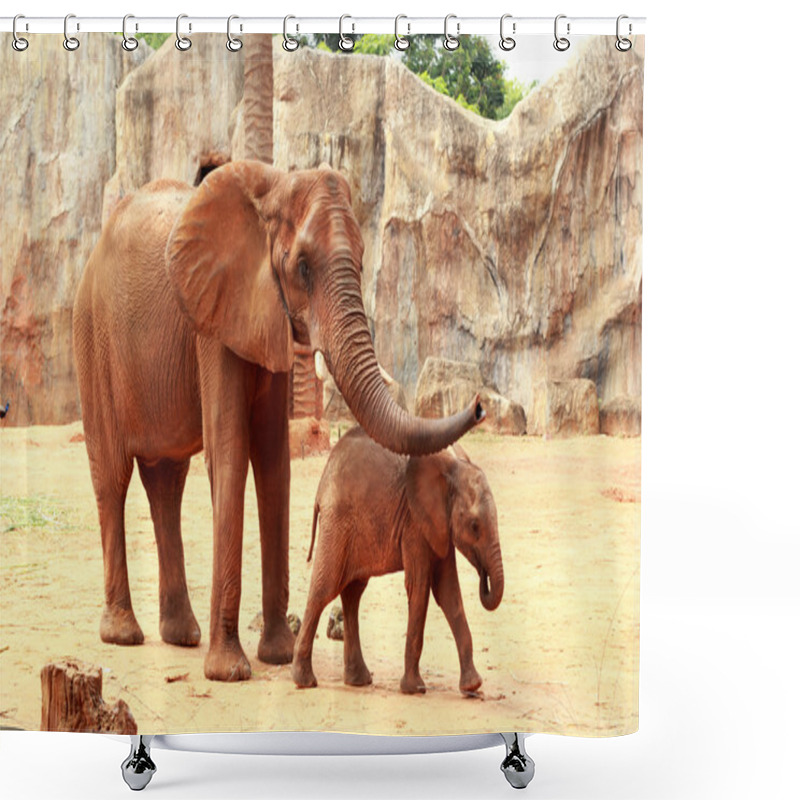 Personality  A Baby And Mother African Elephant Shower Curtains