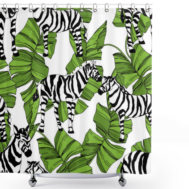 Personality  Vector Exotic Zebra Print Wild Animal Isolated. Black And White Engraved Ink Art. Seamless Background Pattern. Shower Curtains