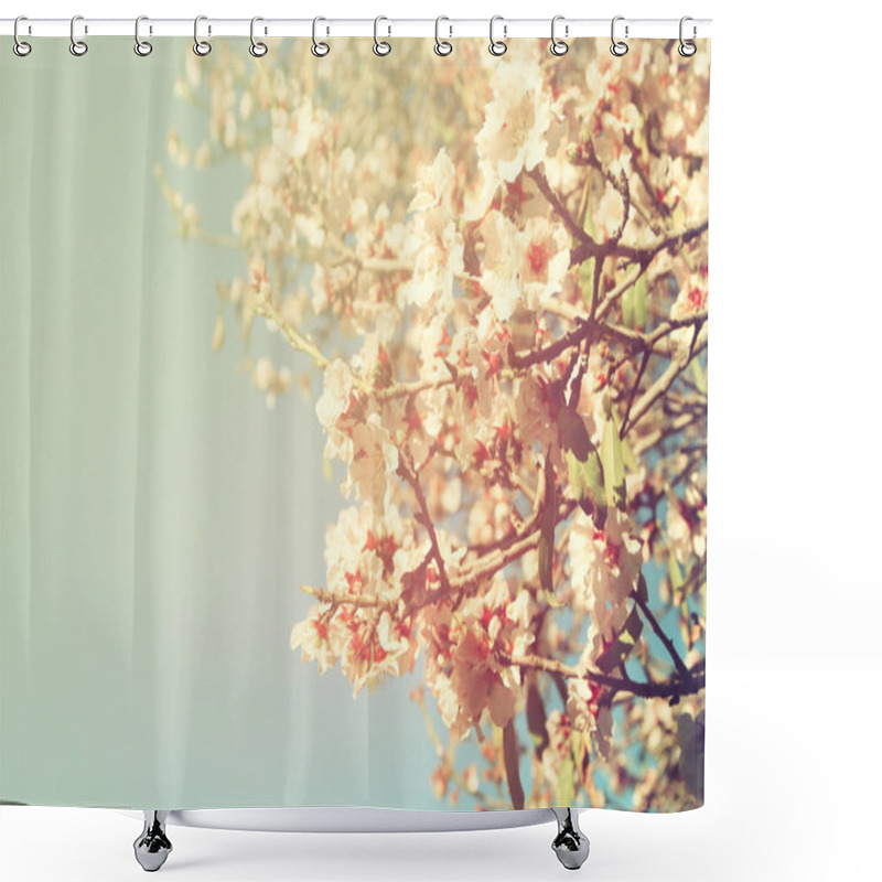 Personality  Abstract Dreamy And Blurred Image Of Spring White Cherry Blossoms Tree. Selective Focus. Vintage Filtered Shower Curtains