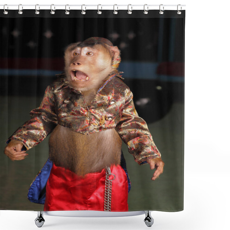 Personality  Circus Chimpanzee Monkey In A Suit And A Hat. Shower Curtains