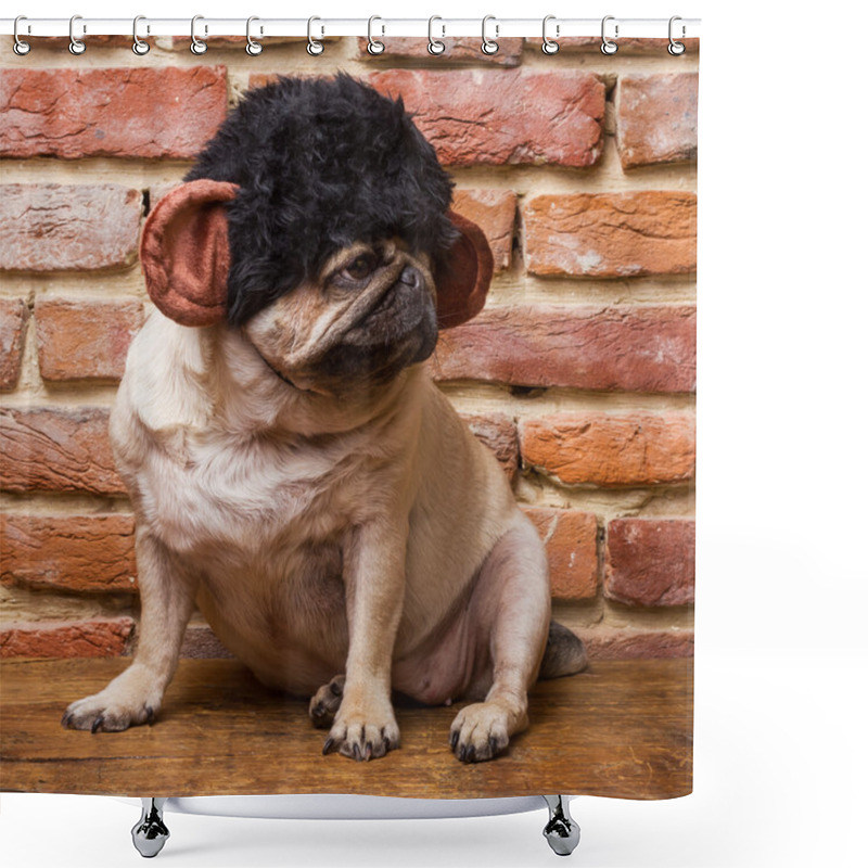 Personality  Cute Pug In Monkey Suit Shower Curtains