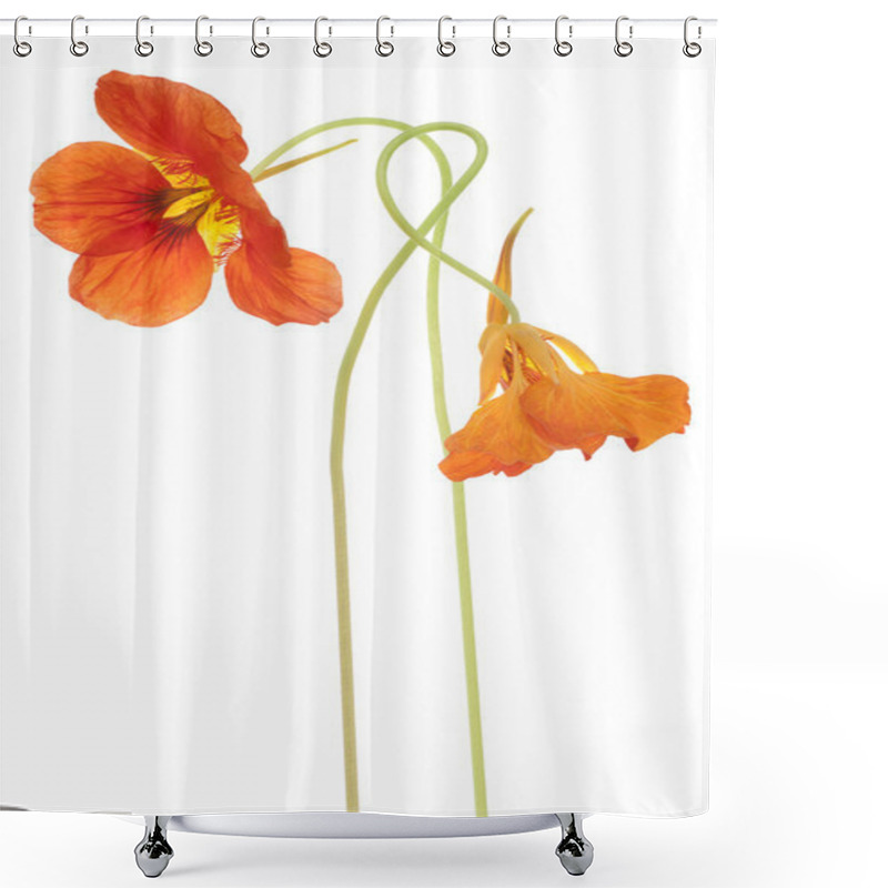 Personality  Nasturtium Shower Curtains