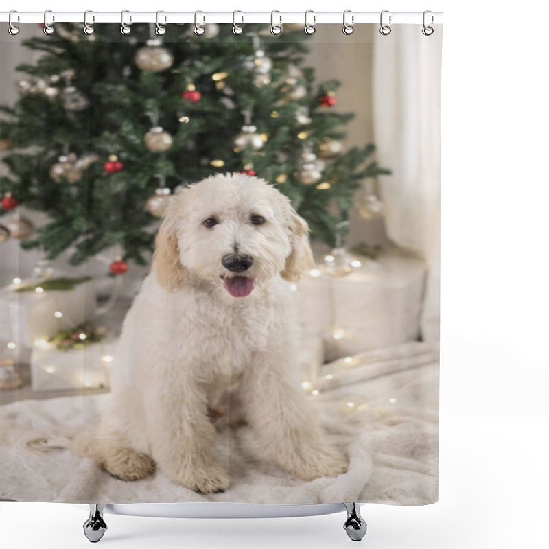 Personality  Happy Golden Doodle Dog In Front Of Christmas Tree Shower Curtains