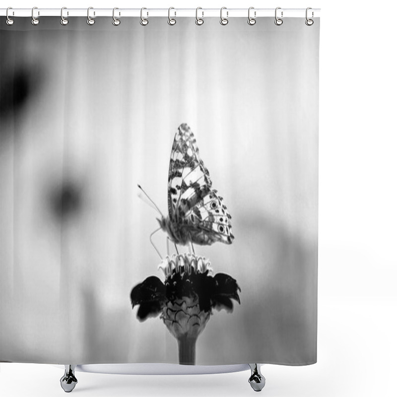 Personality  A Delicate Butterfly Perched On A Flower In Black And White. Shower Curtains