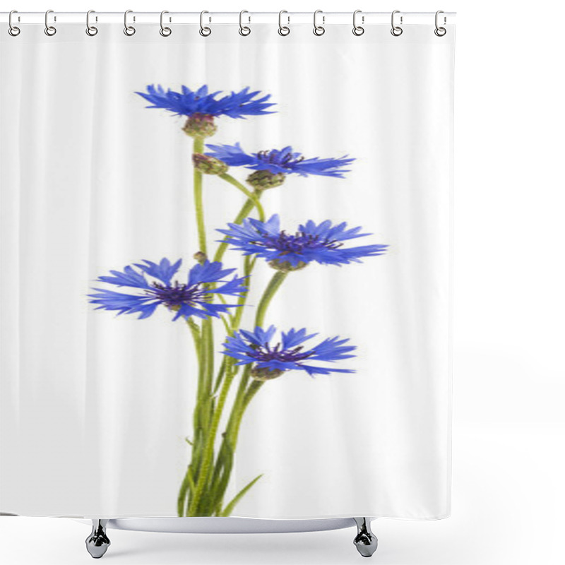 Personality  Cornflower. Bouquet Of Wild Blue Flowers  Shower Curtains