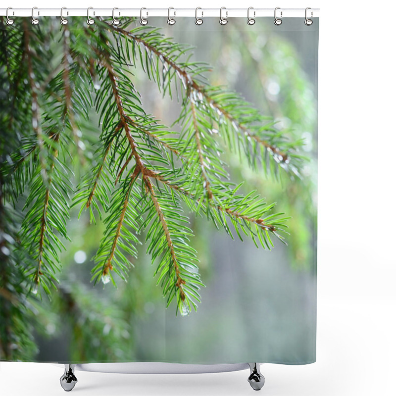 Personality  Pine Tree Close-up Shower Curtains