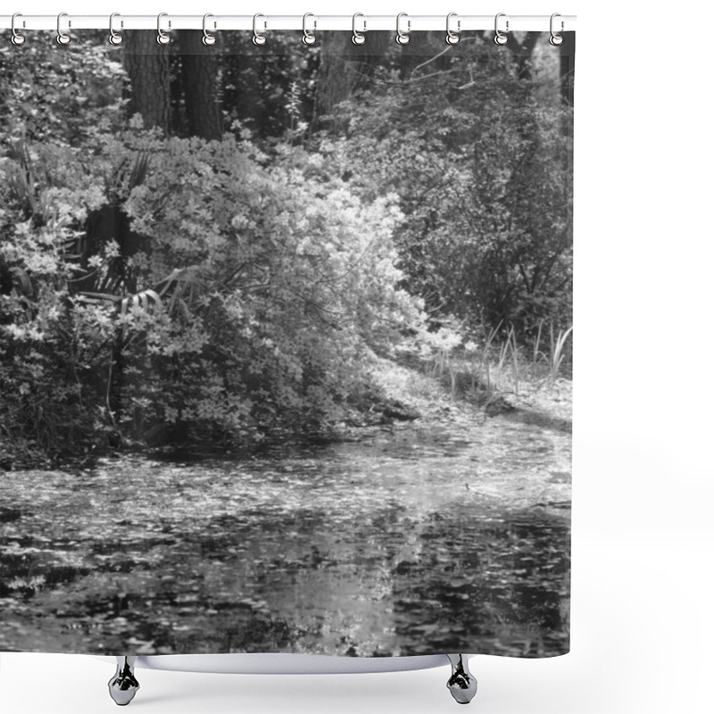 Personality  Flowers Close View, Natural Plants Black And White Photo Background Shower Curtains