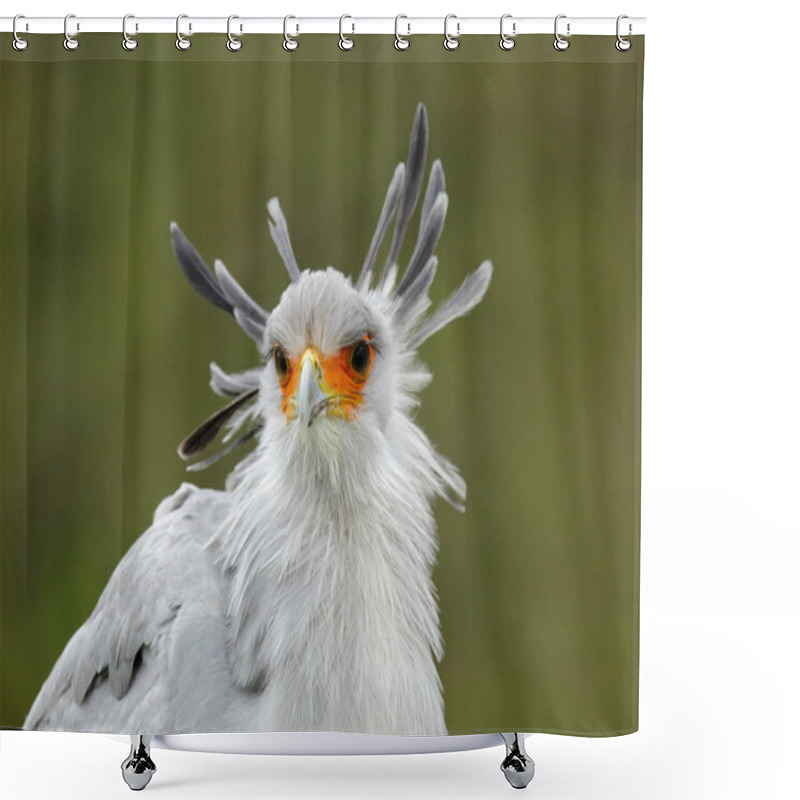 Personality  Portrait Of Nice Secretary Bird Shower Curtains