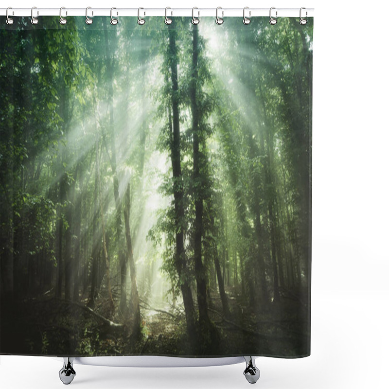 Personality  Sun Rays In Green Forest Shower Curtains