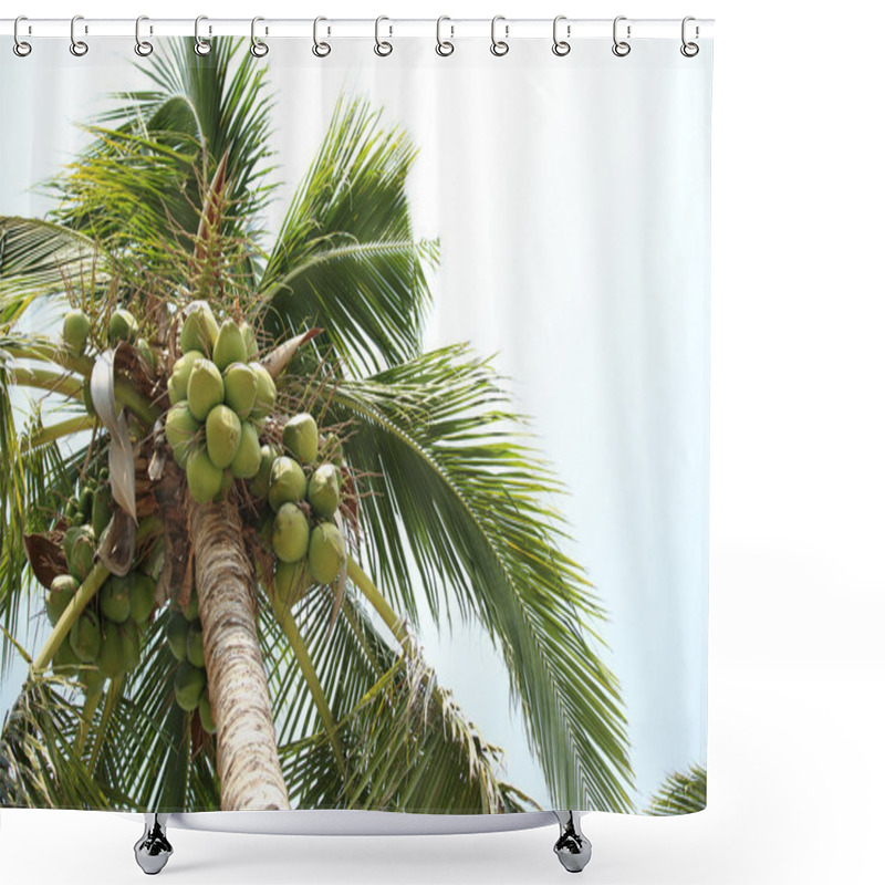 Personality  Palm Tree Shower Curtains