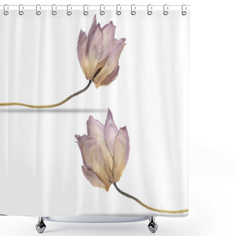 Personality  Dry Lotus,lotus Flower,isolated On White. With Clipping Path Shower Curtains