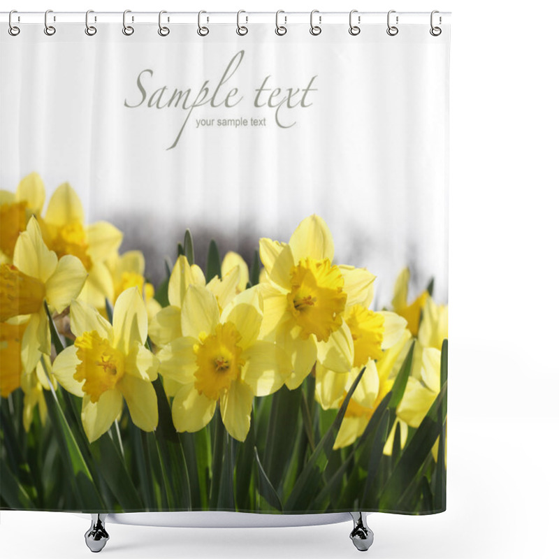 Personality  Yellow Daffodils Shower Curtains