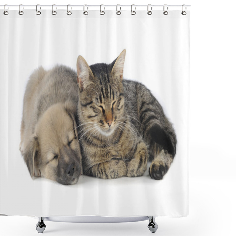 Personality  Cat And Dog Shower Curtains