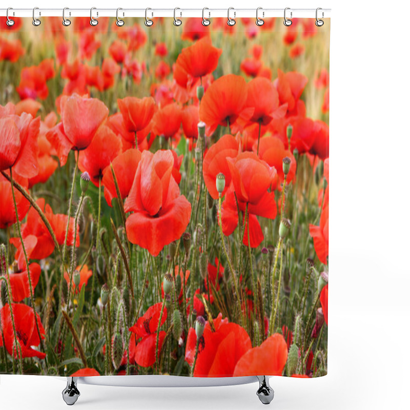 Personality  Red Poppies Shower Curtains