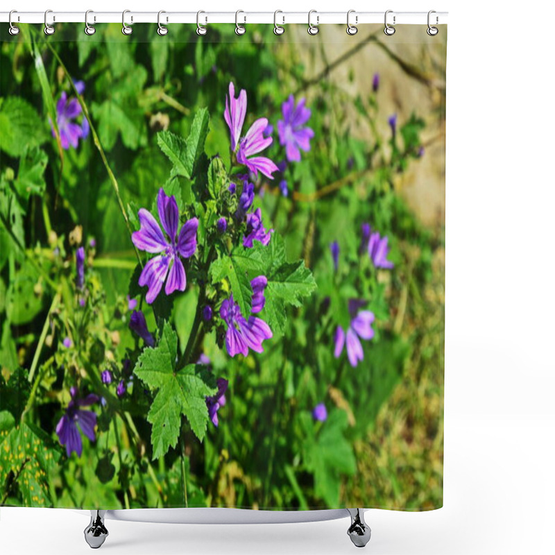 Personality  Wild Mallow In The Summer Garden Shower Curtains