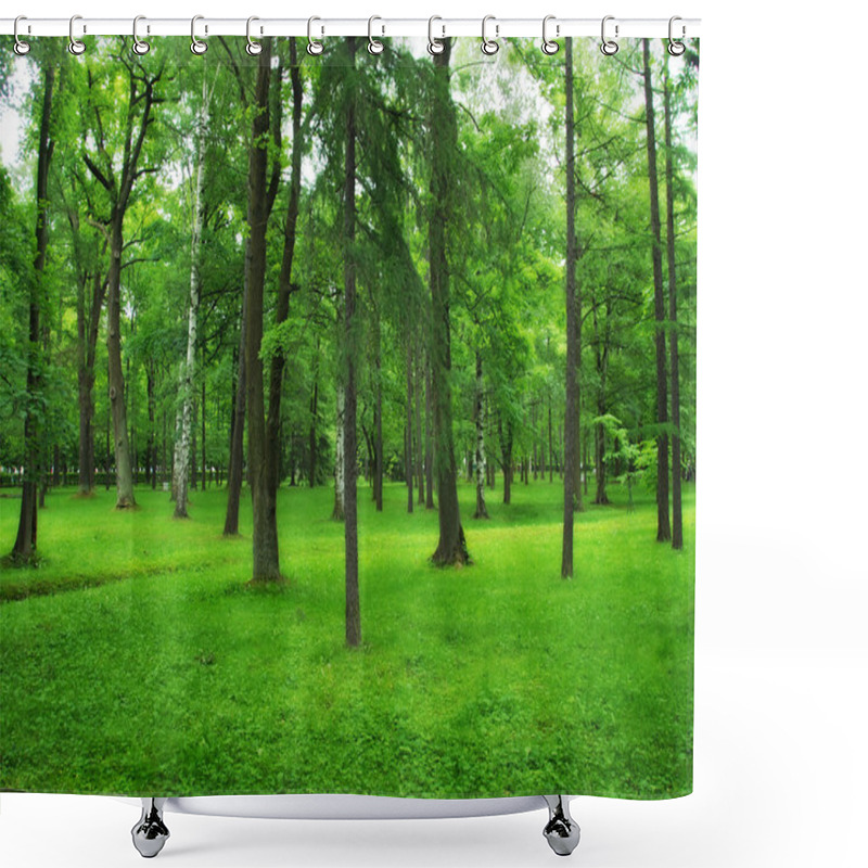 Personality  Green Park, Forest Shower Curtains