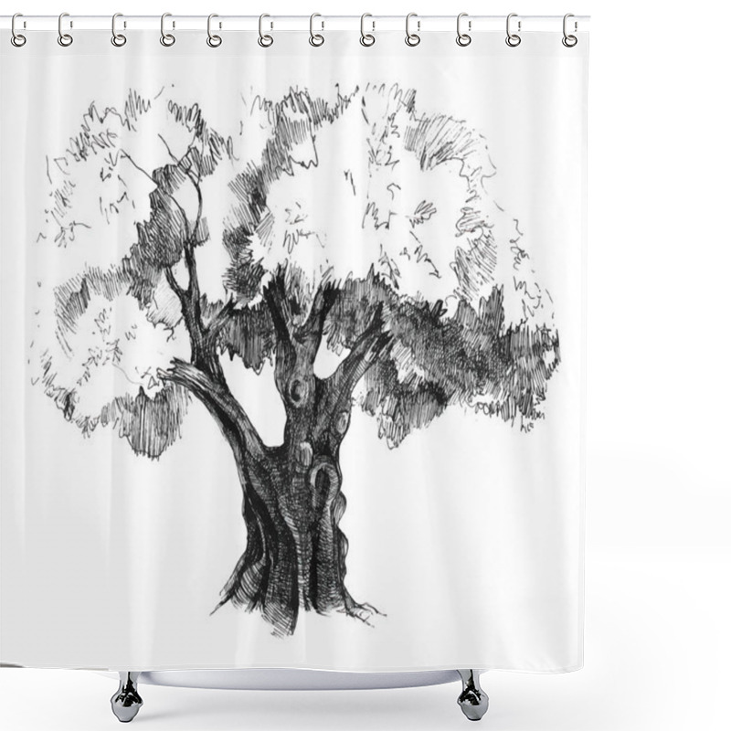 Personality  Hand Drawn Olive Tree Shower Curtains