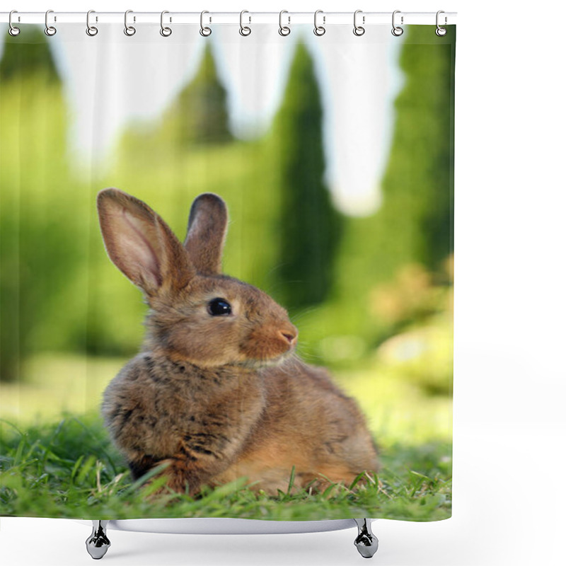 Personality  Cute Fluffy Rabbit On Green Grass Outdoors Shower Curtains