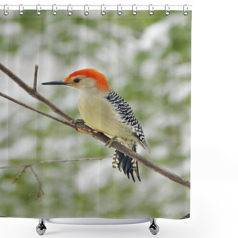 Personality  Woodpecker Shower Curtains