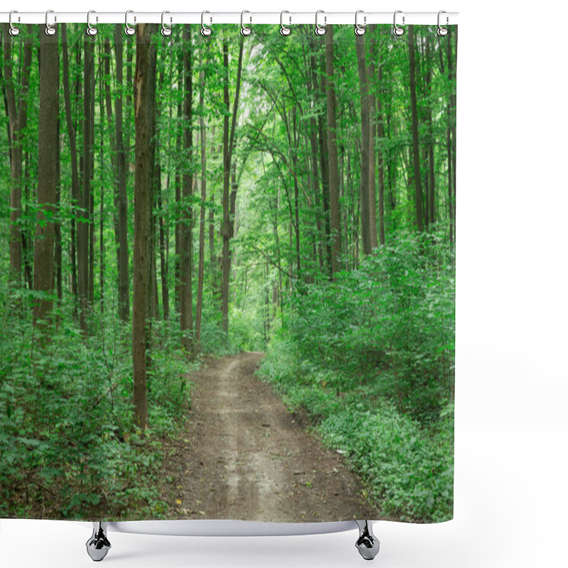 Personality  Forest Trees. Nature Green Wood Sunlight Backgrounds Shower Curtains