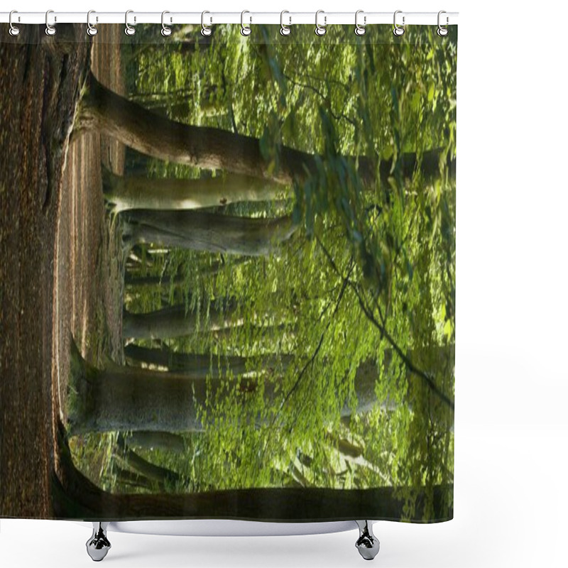 Personality  A Sunset In The Enchanted Forest Casts A Warm Golden Glow On Twisting Branches And Green Grass, Adding A Romantic And Peaceful Atmosphere. Perfect For Summer Forest Retreats And Cozy Woodland Cottages Shower Curtains