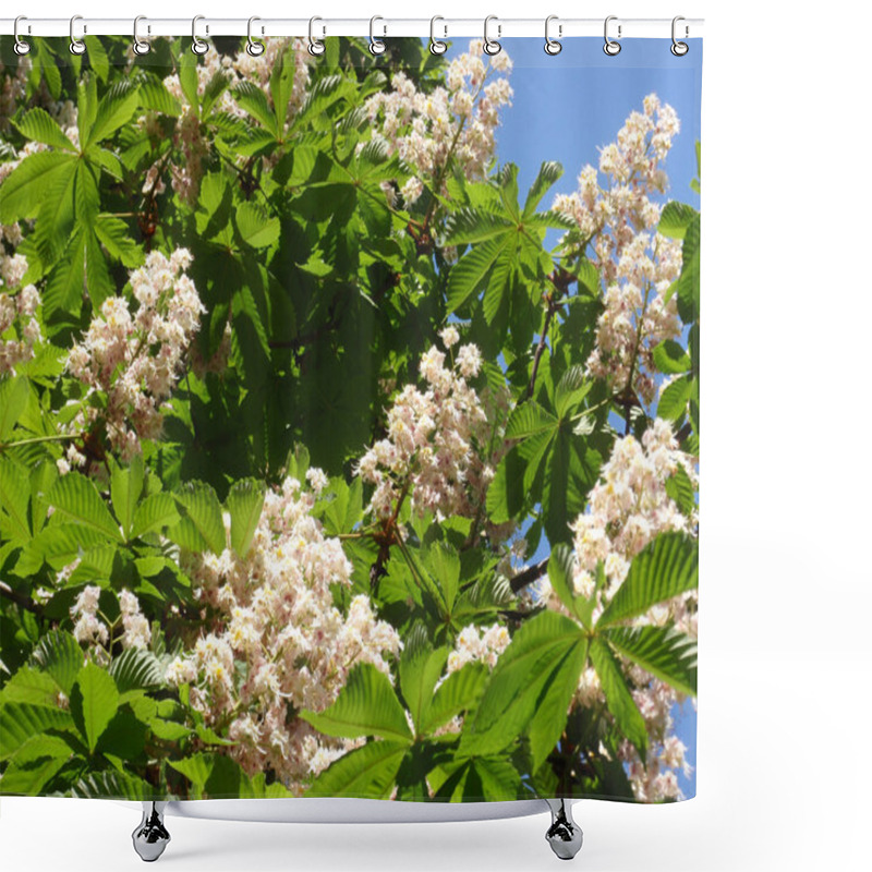 Personality  Flowering Buckeye Shower Curtains