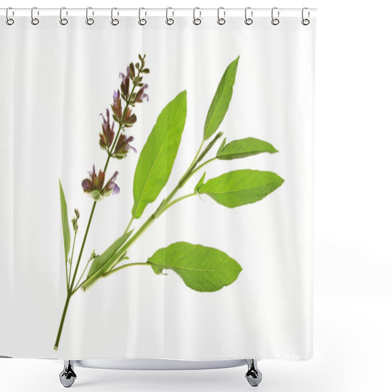 Personality  Sage Flower And Leaves Shower Curtains