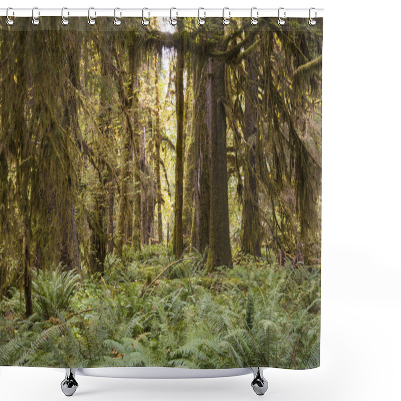 Personality  Ferns And Forest, Olympic National Park Shower Curtains