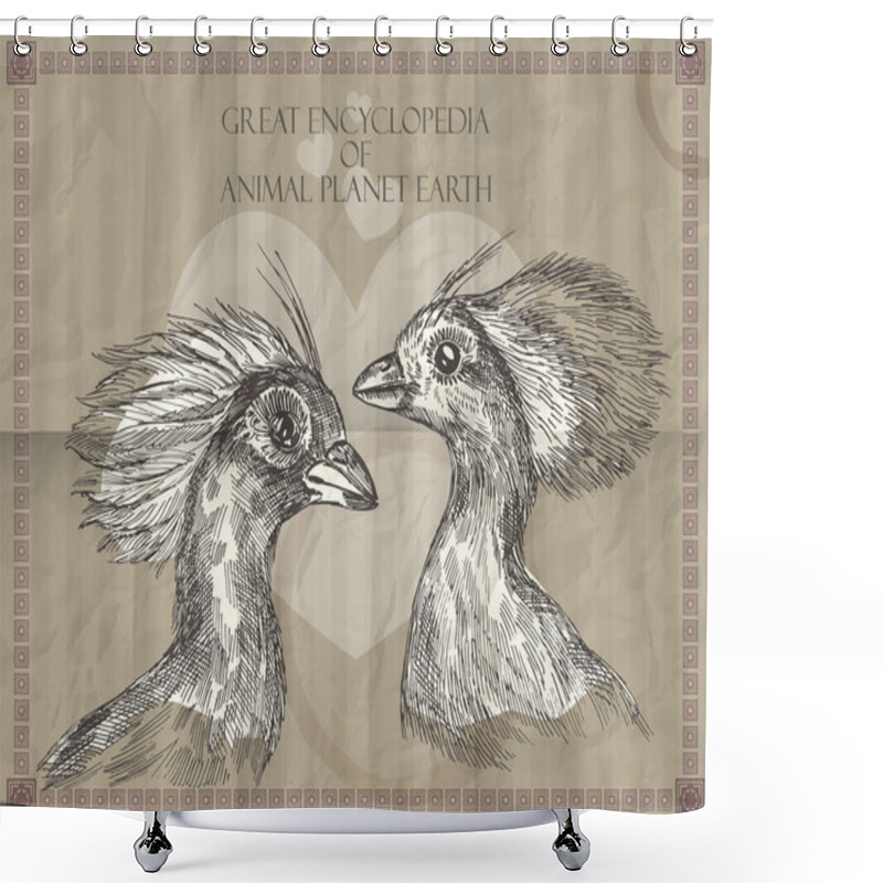 Personality  Vector Peacocks Heads From Great Encyclopedia Of Animals Planet Earth Shower Curtains