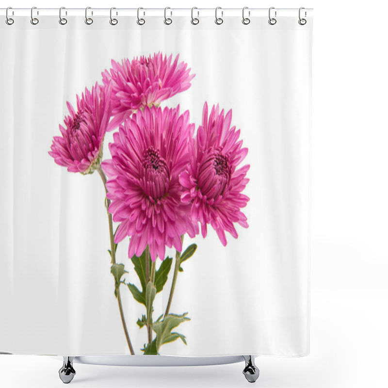 Personality  Chrysanthemum Lilac Flower Shower Curtains