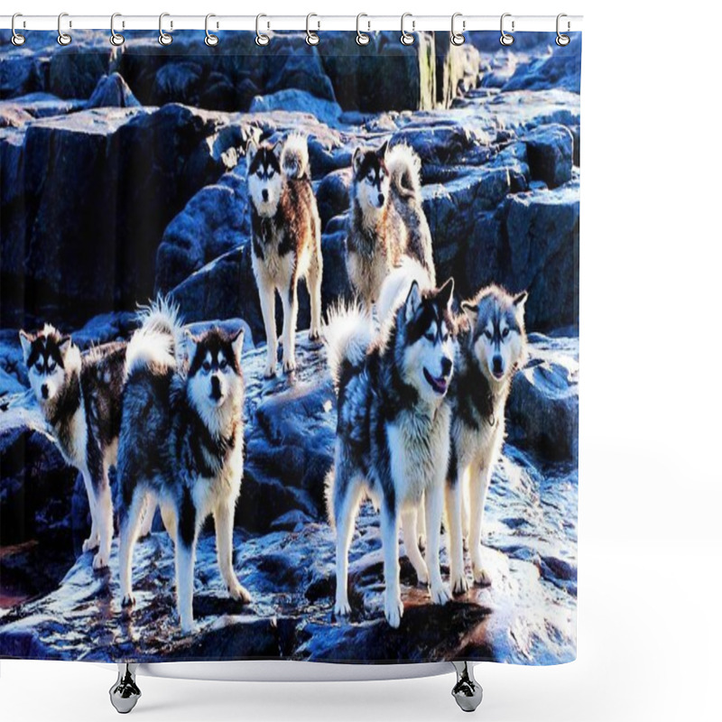 Personality  Different Animals, Selective Focus Shower Curtains