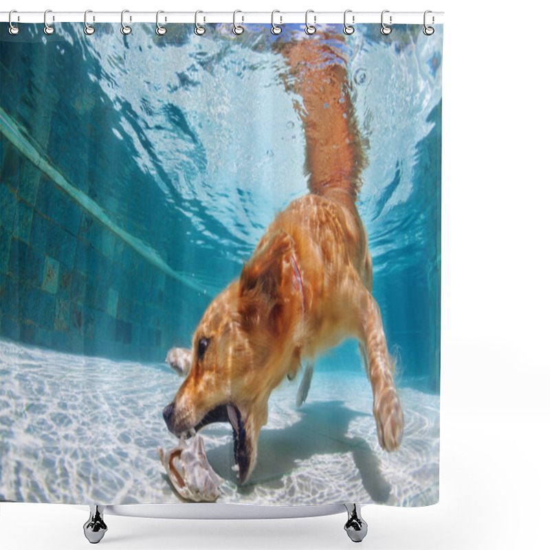 Personality  Dog Swimming And Diving In The Pool Shower Curtains