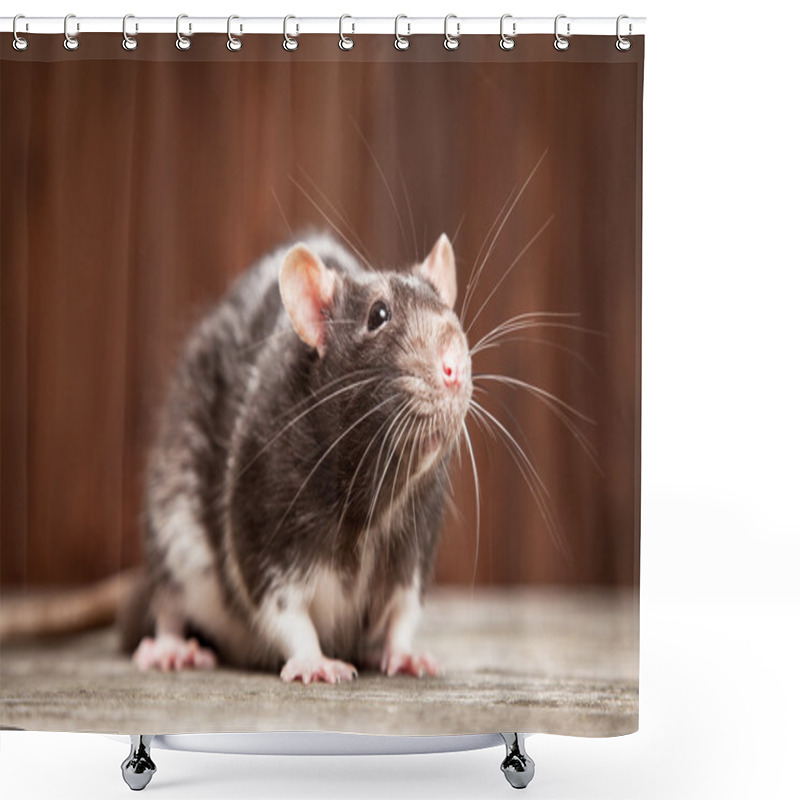 Personality  Pet Rat Shower Curtains