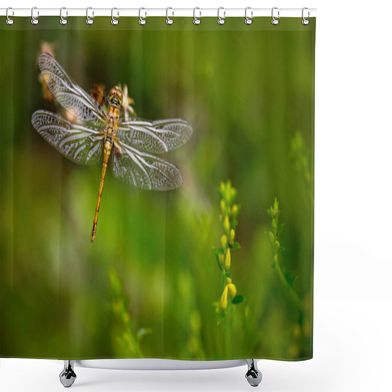 Personality  Nature Scene With Dragonfly Shower Curtains